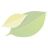 platzhalter