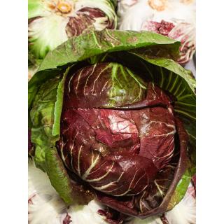 Radicchio