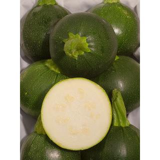 Zucchini rund
