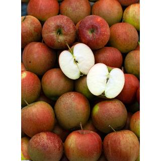 Wellant Apfel