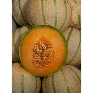 Honigmelone Cantaloupe