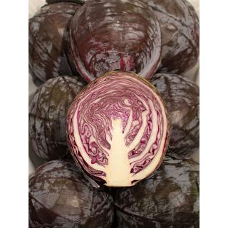 Rotkohl