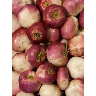 Rübchen Violett