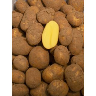 Kartoffeln -vorw. festk.-