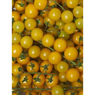 Cherrystrauchtomaten gelb
