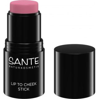 Lip to Cheek Stick 01 Rose Blush