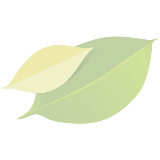 AHA/BHA Serum