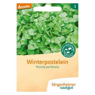 Winterpostelein