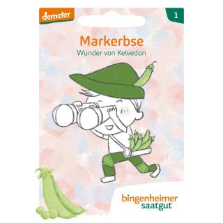 Markerbse W. von Kelvedon