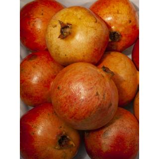 Granatapfel