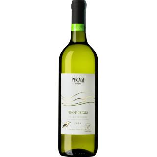Pinot Grigio DOC